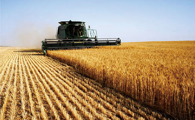 ЭФФЕКТИВНОЕ РАСПЫЛЕНИЕ Image