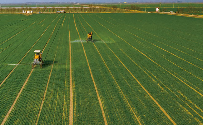 ЭФФЕКТИВНОЕ РАСПЫЛЕНИЕ Image